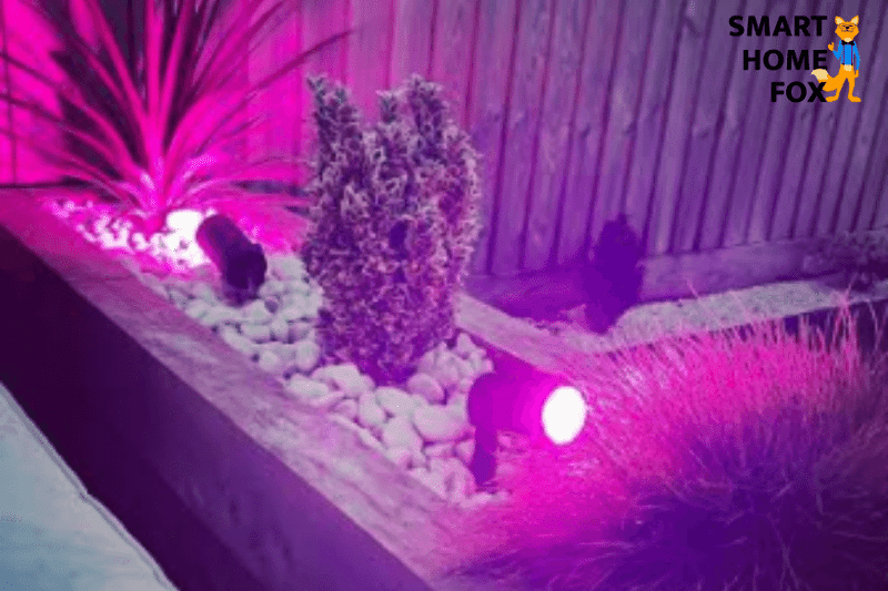 Man sieht eine Philips Hue Lampe an einer Einfahrt in der Nacht leuchten.